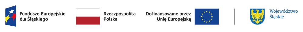 Grafika przedstawia ciąg logotypów: pierwszy od lewej to logotyp programu Fundusze Europejskie dla śląskiego, następnie flaga Polski, kolejno logotyp Unii Europejskiej z opisem dofinansowane przez Unię Europejską, po prawej herb województwa śląskiego 